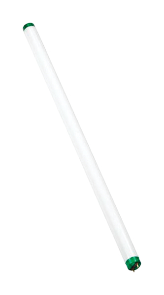 Main 1 - Philips Alto 54 W T5 0.63 in. D X 46 in. L Fluorescent Bulb Cool White Linear 4100 K 1 pk - Nederland