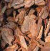 Main 2 - Large Pine Mulch Nuggets 2Cf - Nederland