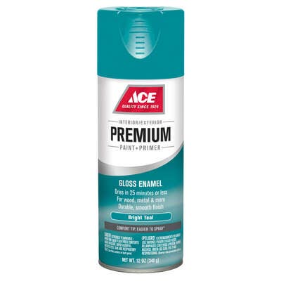Ace Premium Gloss Bright Teal Paint + Primer Spray Paint 12 oz - Nederland