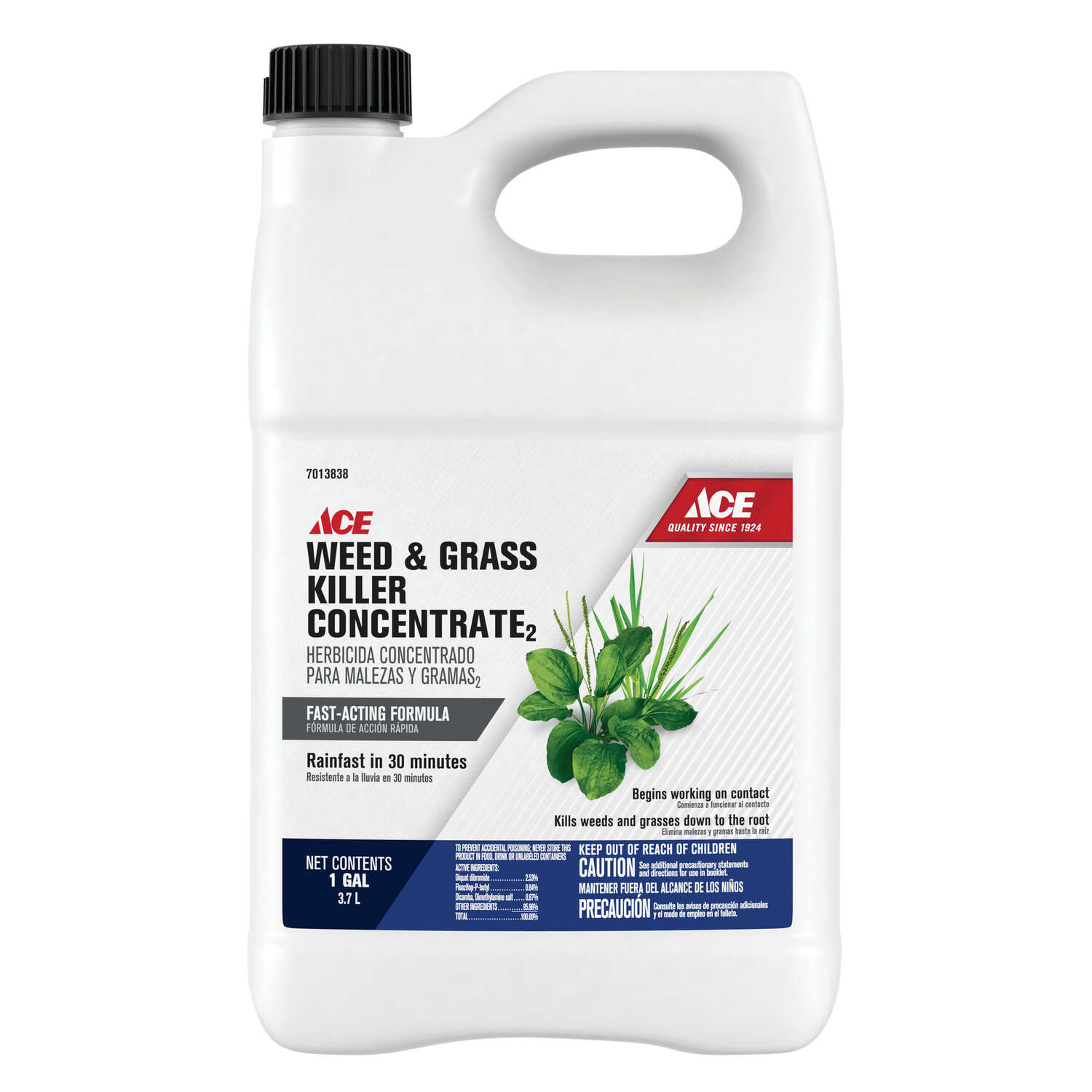 Ace Weed and Grass Killer Concentrate 1 gal - Nederland