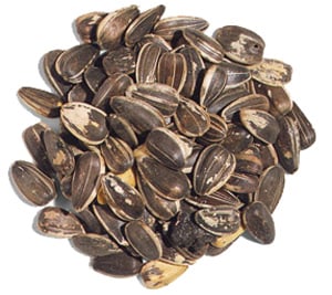 25# Sunflower Medium Grey Stripe - Nederland
