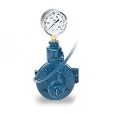 Sta-Rite Regulator - Nederland