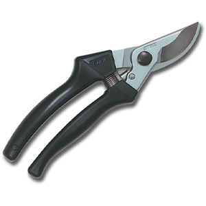 Main 1 - Stihl Pp 40 Long Pruner - Nederland