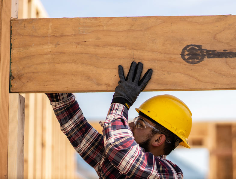 Engineered Wood Products (Ewp) - Nederland