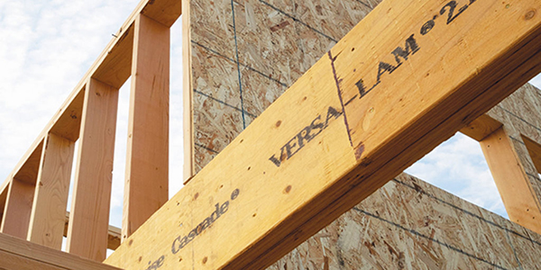 Lvl Beams - Nederland