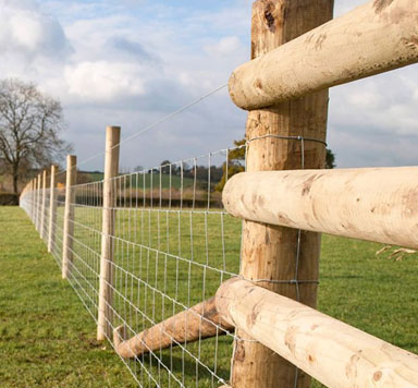 Field Fencing - Nederland