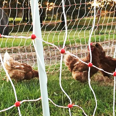 Hardware Cloth & Poultry Netting - Nederland