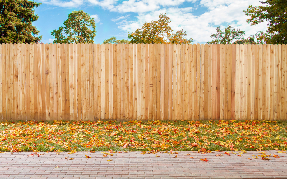 Fencing - Nederland