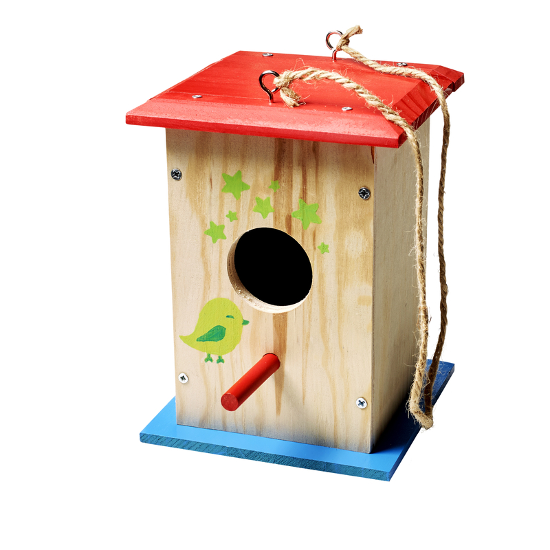 Main 1 - Stanley Jr Birdhouse Kit - Nederland